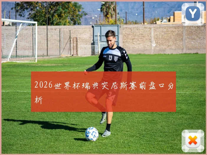 2026世界杯瑞典突尼斯赛前盘口分析