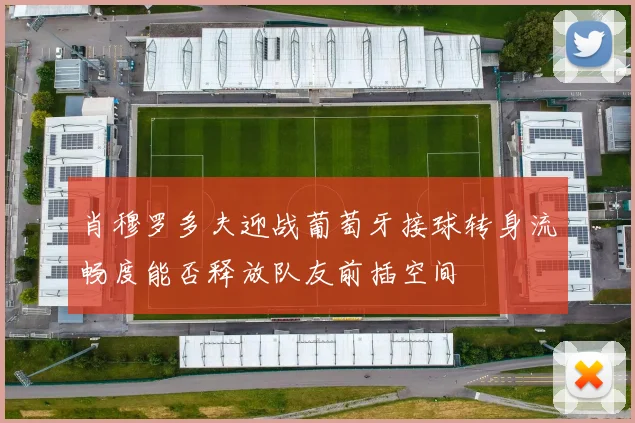 肖穆罗多夫迎战葡萄牙接球转身流畅度能否释放队友前插空间
